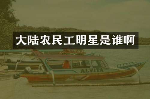 大陆农民工明星是谁啊