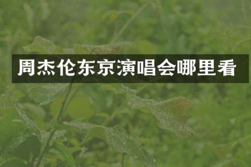周杰伦东京演唱会哪里看