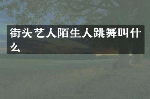 街头艺人陌生人跳舞叫什么