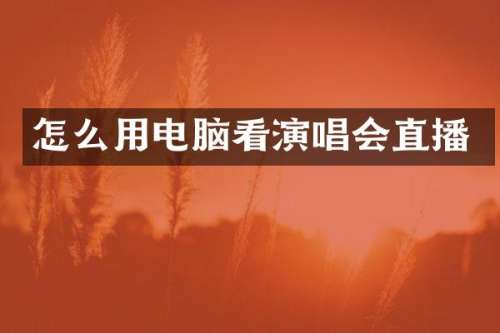 怎么用电脑看演唱会直播