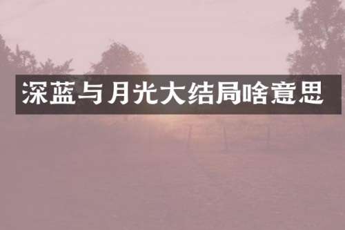 深蓝与月光大结局啥意思