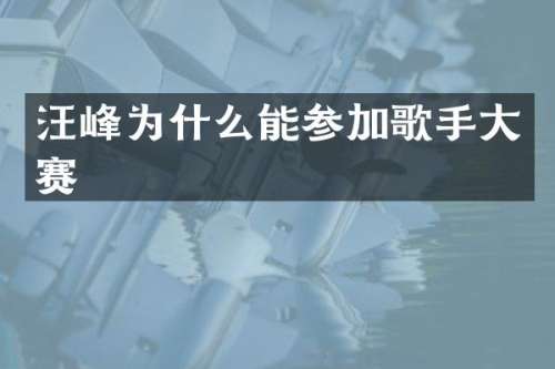 汪峰为什么能参加歌手大赛