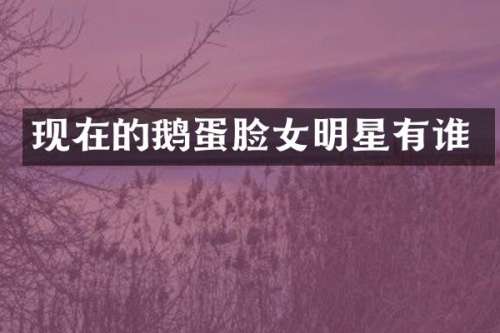 现在的鹅蛋脸女明星有谁