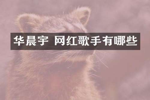 华晨宇 网红歌手有哪些