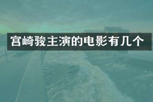 宫崎骏主演的电影有几个