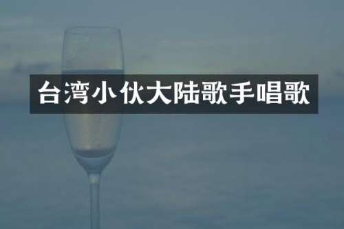 台湾小伙大陆歌手唱歌