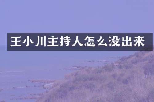 王小川主持人怎么没出来