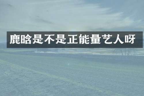 鹿晗是不是正能量艺人呀