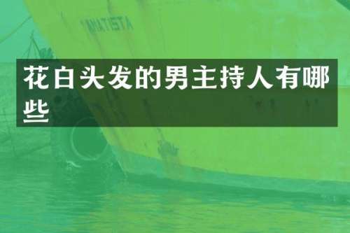 花白头发的男主持人有哪些