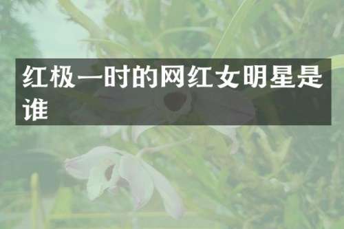 红极一时的网红女明星是谁