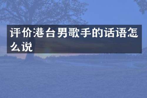 评价港台男歌手的话语怎么说