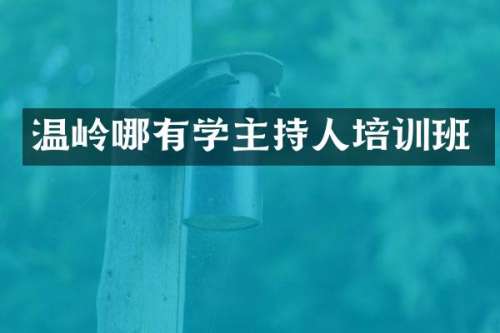温岭哪有学主持人培训班