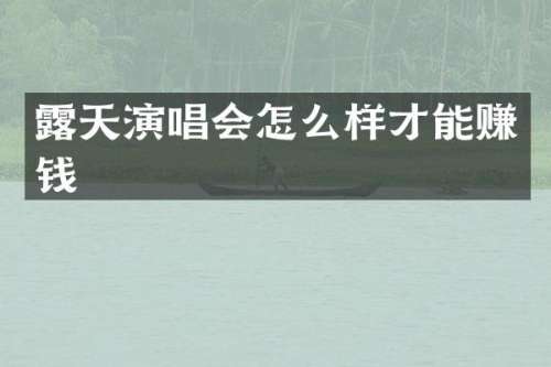 天演唱会怎么样才能赚钱