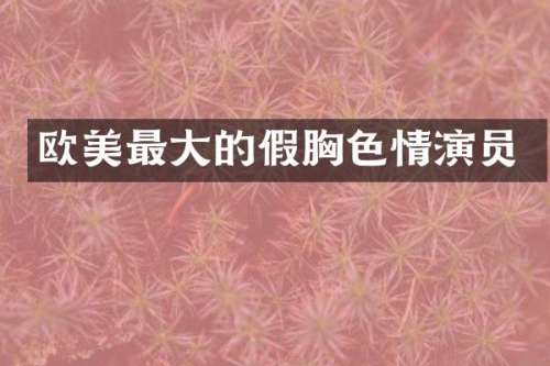 欧美最大的假演员