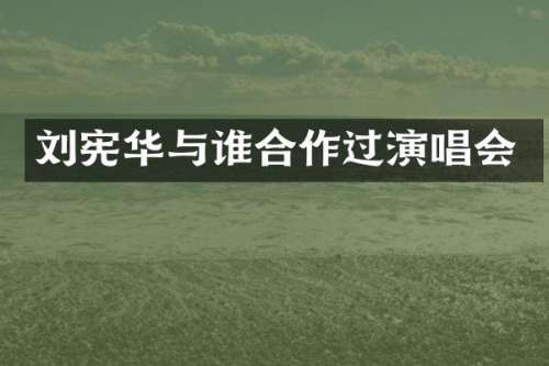 刘宪华与谁合作过演唱会
