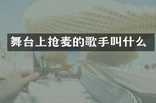 舞台上抢麦的歌手叫什么