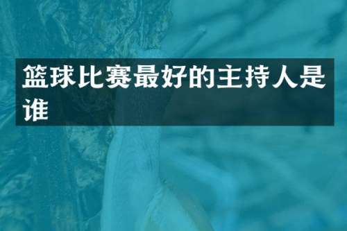 篮球比赛最好的主持人是谁