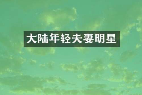 大陆年轻夫妻明星