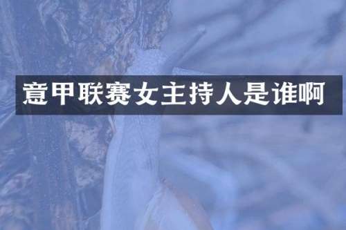 意甲联赛女主持人是谁啊