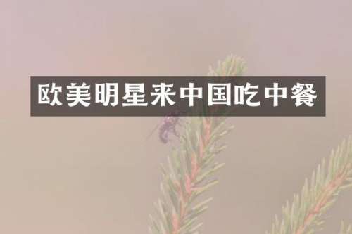 欧美明星来中国吃中餐
