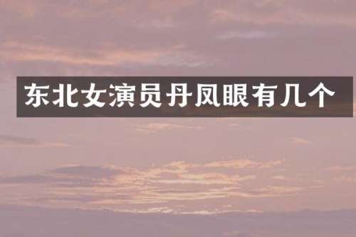 东北女演员丹凤眼有几个