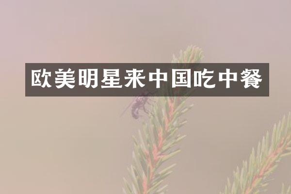 欧美明星来中国吃中餐