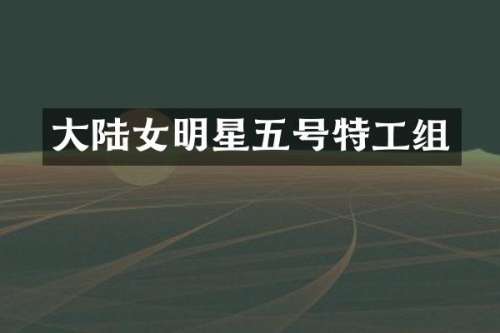 大陆女明星五号特工组