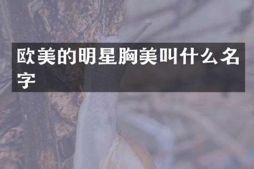 欧美的明星美叫什么名字