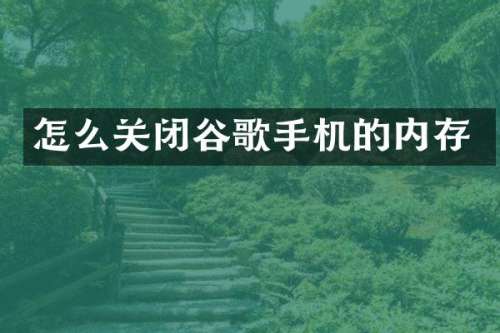 怎么关闭谷歌手机的内存