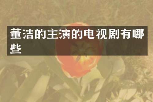 董洁的主演的电视剧有哪些