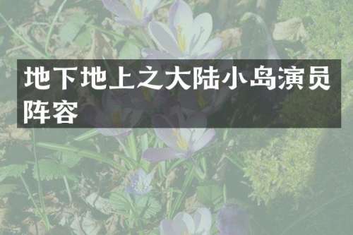 地下地上之大陆小岛演员阵容