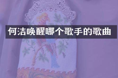 何洁唤醒哪个歌手的歌曲