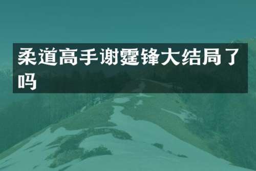 柔道高手谢霆锋大结局了吗