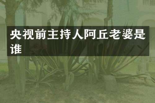 央视前主持人阿丘老婆是谁