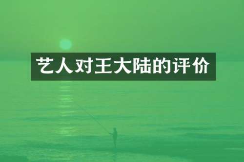 艺人对王大陆的评价