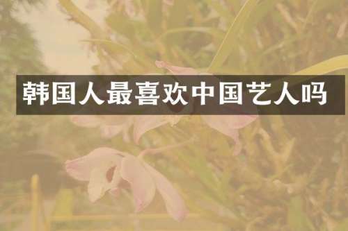 韩国人最喜欢中国艺人吗