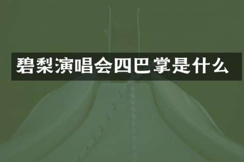 碧梨演唱会四巴掌是什么