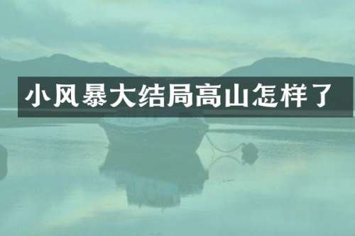 小风暴大结局高山怎样了