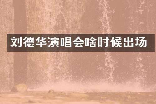 刘德华演唱会啥时候出场