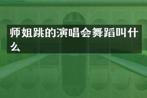 师姐跳的演唱会舞蹈叫什么