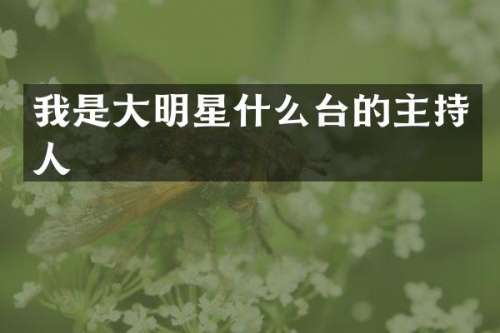 我是大明星什么台的主持人