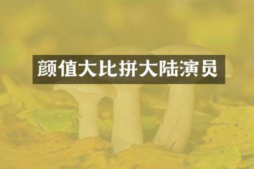 颜值大比拼大陆演员