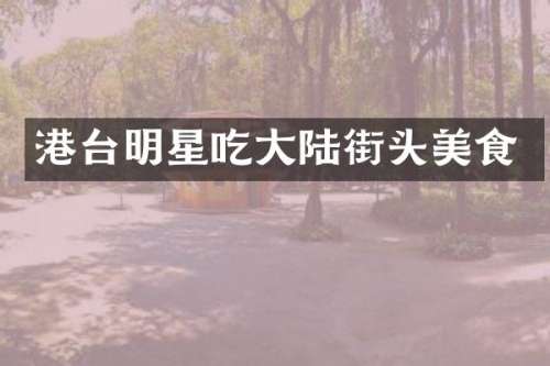 港台明星吃大陆街头美食