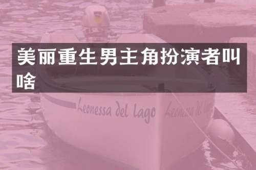美丽重生男主角扮演者叫啥
