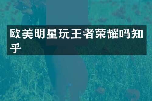 欧美明星玩王者荣耀吗知乎