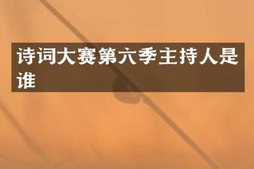 诗词大赛第六季主持人是谁