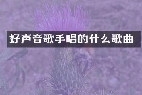 好声音歌手唱的什么歌曲