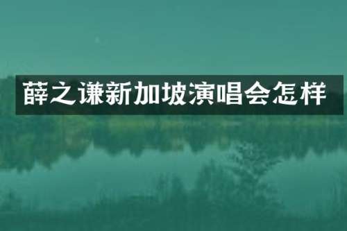 薛之谦新加坡演唱会怎样