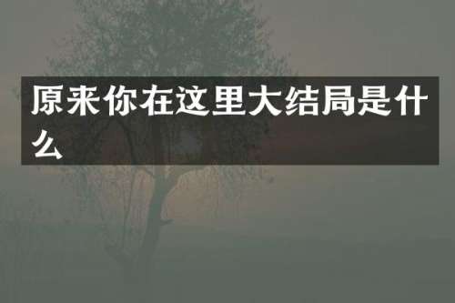 原来你在这里大结局是什么
