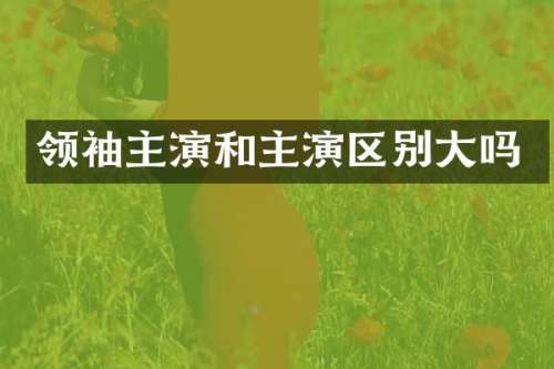 主演和主演区别大吗